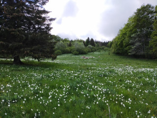 Plateau de Retord