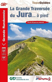 gtj-pied-48959