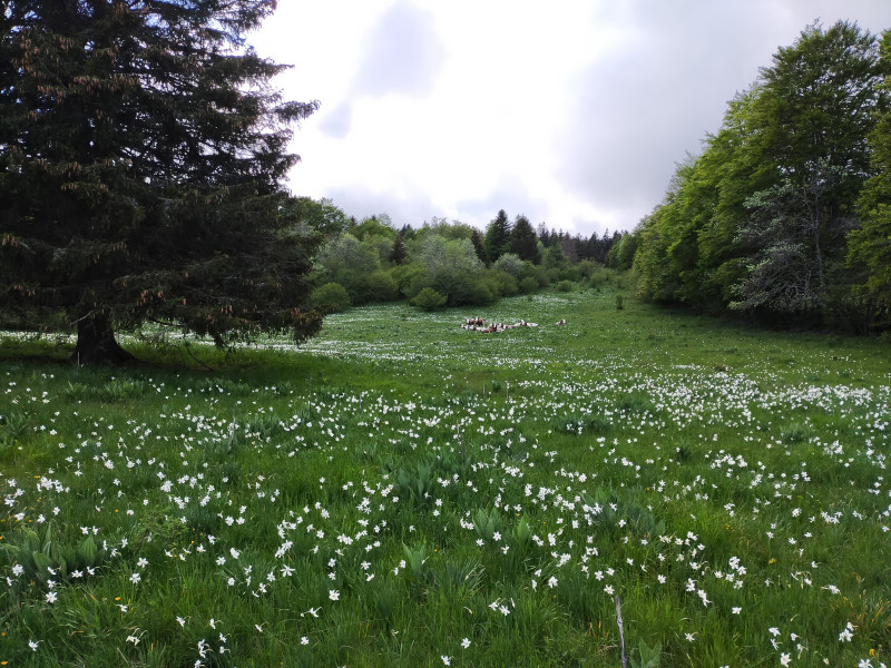 Plateau de Retord